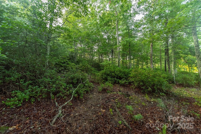 TBD Ridge Point Rd Unit 3, Nebo, NC 28761