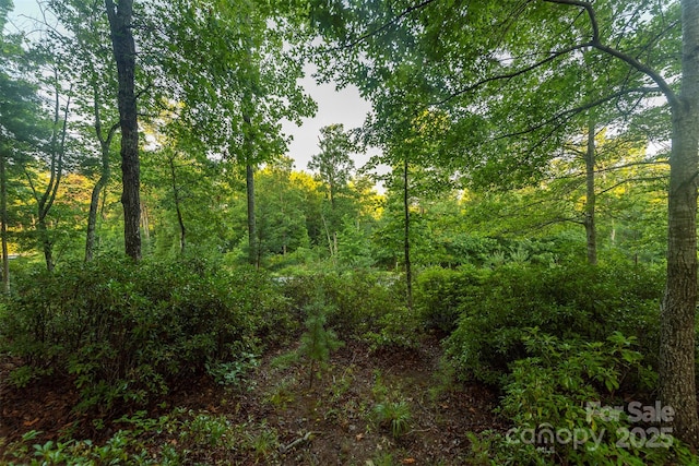 TBD Ridge Point Rd Unit 3, Nebo, NC 28761