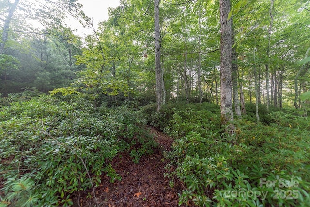 TBD Ridge Point Rd Unit 3, Nebo, NC 28761