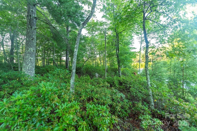 TBD Ridge Point Rd Unit 3, Nebo, NC 28761