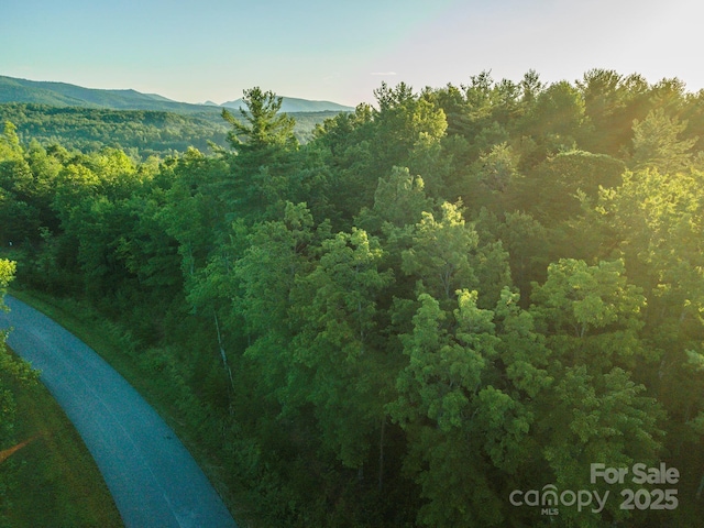 TBD Ridge Point Rd Unit 3, Nebo, NC 28761