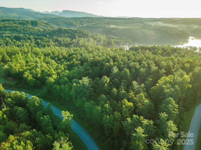 TBD Ridge Point Rd Unit 3, Nebo, NC 28761