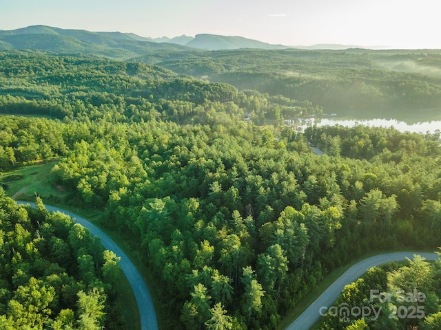 TBD Ridge Point Rd Unit 3, Nebo, NC 28761