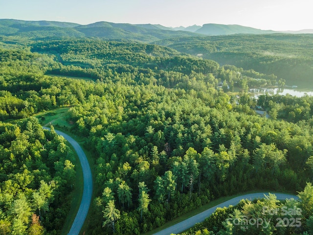 TBD Ridge Point Rd Unit 3, Nebo, NC 28761