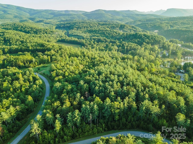 TBD Ridge Point Rd Unit 3, Nebo, NC 28761