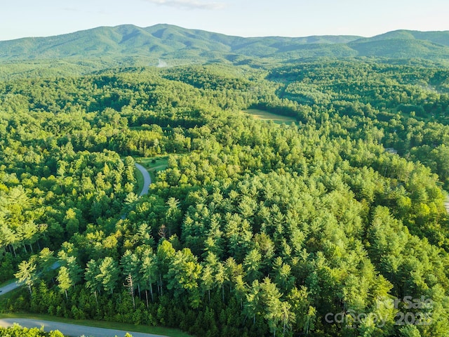TBD Ridge Point Rd Unit 3, Nebo, NC 28761