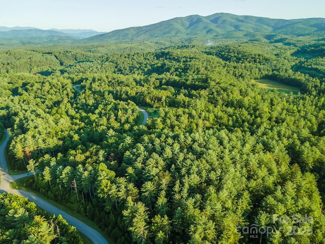 TBD Ridge Point Rd Unit 3, Nebo, NC 28761