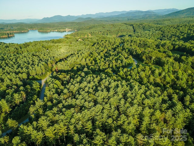 TBD Ridge Point Rd Unit 3, Nebo, NC 28761