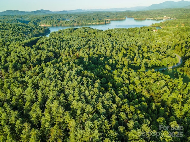 TBD Ridge Point Rd Unit 3, Nebo, NC 28761