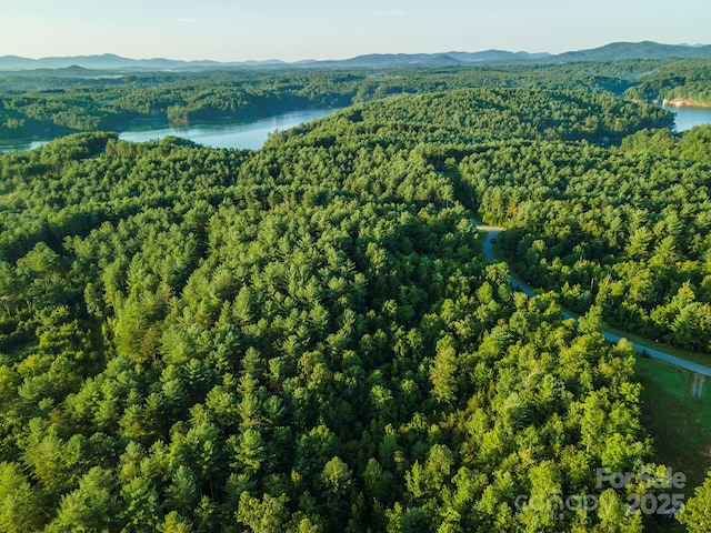 TBD Ridge Point Rd Unit 3, Nebo, NC 28761