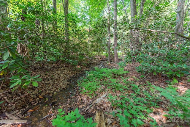 TBD Mecklenburg Circle, Montreat, NC 28757 - photo 1