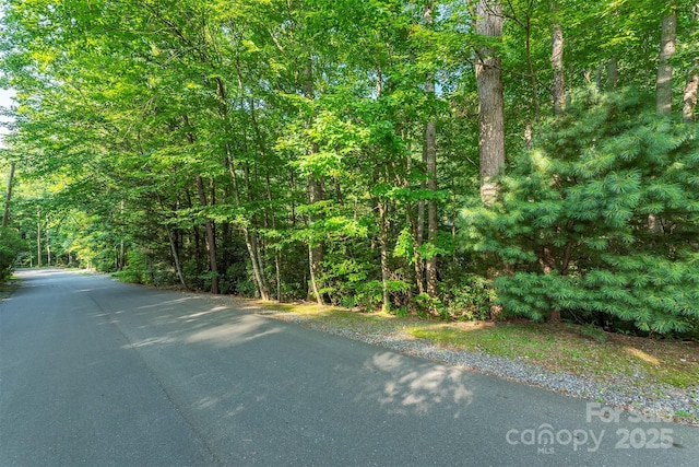 TBD Mecklenburg Circle, Montreat, NC 28757 - photo 2