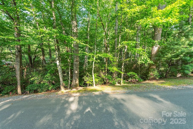 TBD Mecklenburg Circle, Montreat, NC 28757 - photo 3