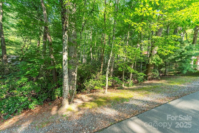 TBD Mecklenburg Circle, Montreat, NC 28757 - photo 4