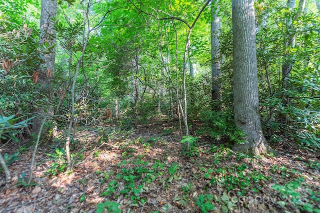 TBD Mecklenburg Circle, Montreat, NC 28757 - photo 5
