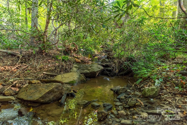 TBD Mecklenburg Circle, Montreat, NC 28757 - photo 6