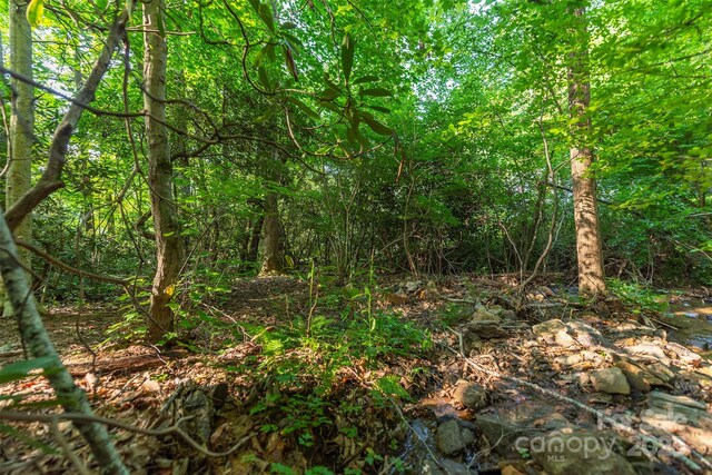 TBD Mecklenburg Circle, Montreat, NC 28757 - photo 7
