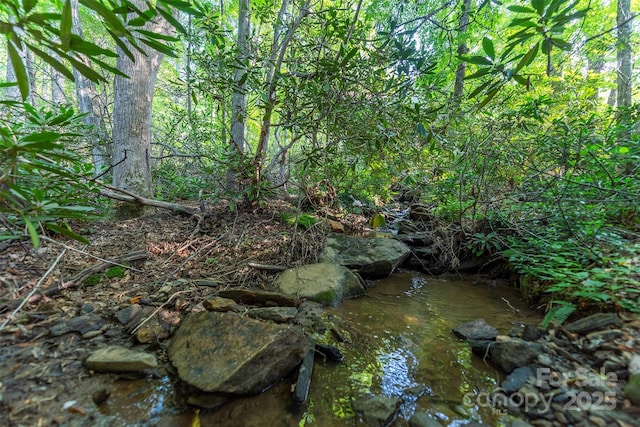 TBD Mecklenburg Circle, Montreat, NC 28757 - photo 8