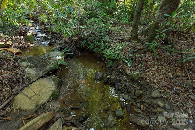 TBD Mecklenburg Circle, Montreat, NC 28757 - photo 9
