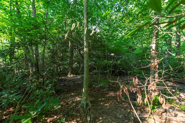 TBD Mecklenburg Circle, Montreat, NC 28757 - photo 10