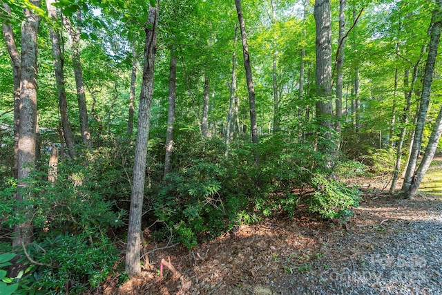 TBD Mecklenburg Circle, Montreat, NC 28757 - photo 11