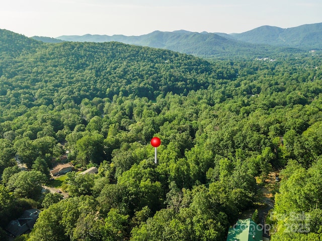 TBD Mecklenburg Circle, Montreat, NC 28757 - photo 12
