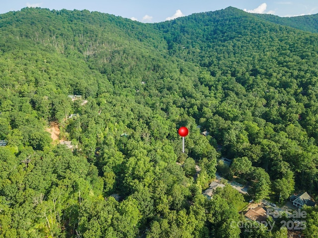 TBD Mecklenburg Circle, Montreat, NC 28757 - photo 13