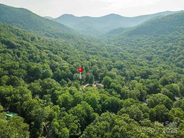 TBD Mecklenburg Circle, Montreat, NC 28757 - photo 14