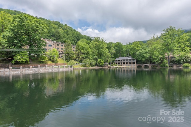 TBD Mecklenburg Circle, Montreat, NC 28757 - photo 18