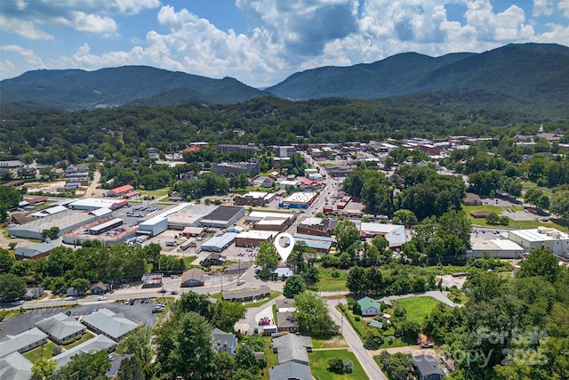 313 Depot St, Waynesville, NC 28786 - photo 46