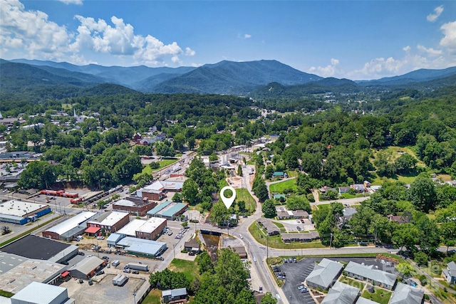 313 Depot St, Waynesville, NC 28786 - photo 47