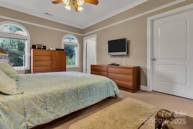 44 Pacifico Dr, Asheville, NC 28806 - photo 30