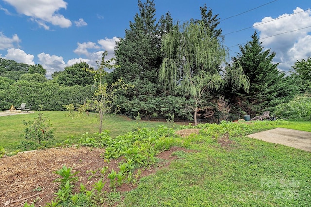 44 Pacifico Dr, Asheville, NC 28806 - photo 45