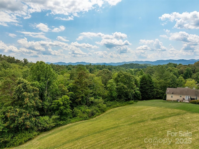 117 Grandview Ridge Dr, Alexander, NC 28701