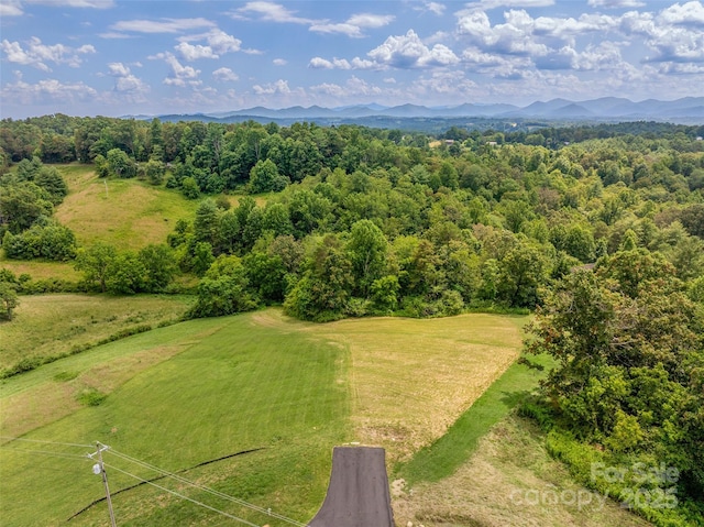 117 Grandview Ridge Dr, Alexander, NC 28701