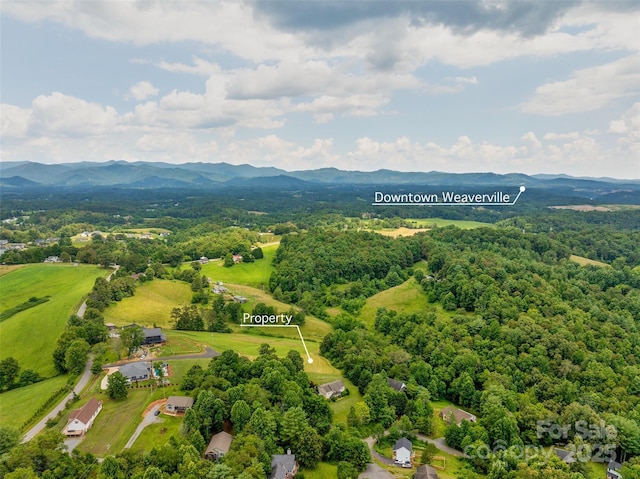 117 Grandview Ridge Dr, Alexander, NC 28701