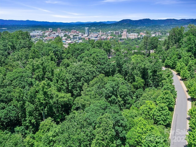 44 Samuel Ashe Dr Unit 55, Asheville, NC 28805 - photo 14