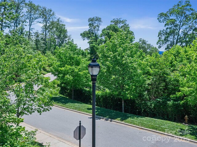 44 Samuel Ashe Dr Unit 55, Asheville, NC 28805 - photo 18