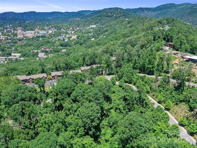 44 Samuel Ashe Dr Unit 55, Asheville, NC 28805 - photo 25