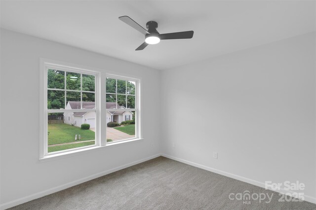 11235 Breezehill Ln, Charlotte, NC 28262 - photo 21