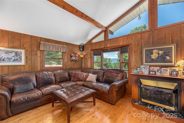 68 Thornapple Ln, Waynesville, NC 28786 - photo 7