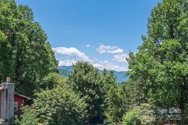 68 Thornapple Ln, Waynesville, NC 28786 - photo 12