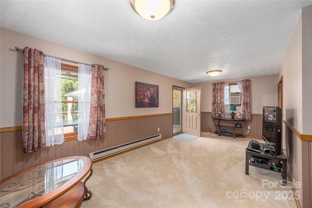 68 Thornapple Ln, Waynesville, NC 28786 - photo 21