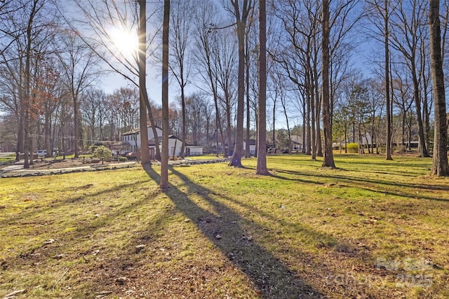 10700 Chestnut Hill Dr, Matthews, NC 28105 - view of green lawn