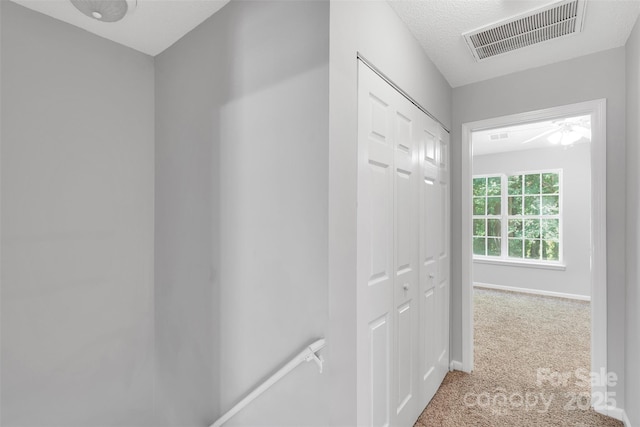 4586 Antelope Ln, Charlotte, NC 28269 - photo 12