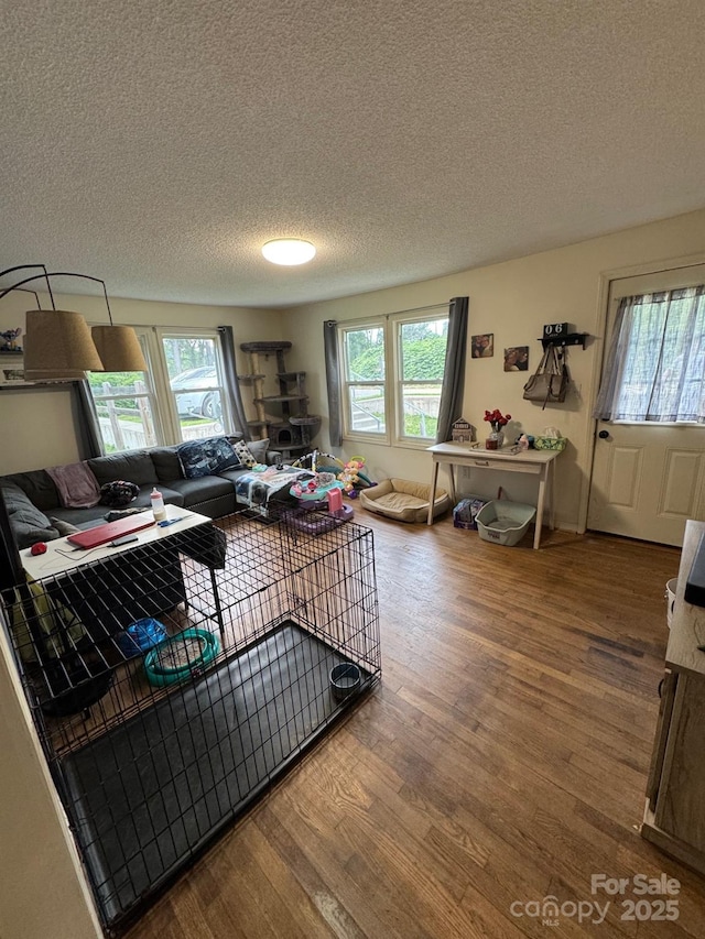 1045 Warren Pl NW, Lenoir, NC 28645 - living room with wood finished floors and a textured ceiling