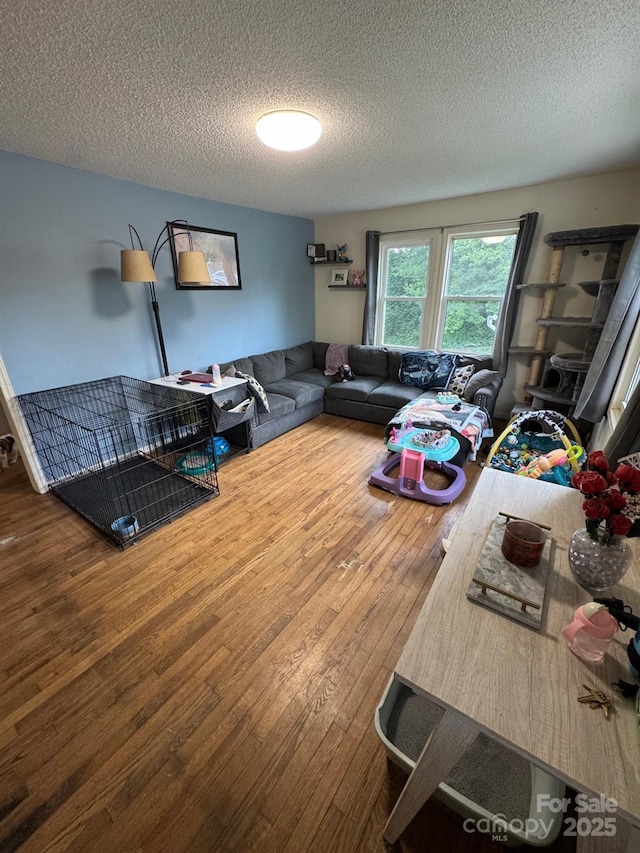 1045 Warren Pl NW, Lenoir, NC 28645 - living area with hardwood / wood-style floors and a textured ceiling