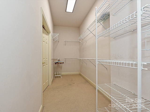 10638 Moss Mill Ln, Charlotte, NC 28277 - spacious closet with carpet floors