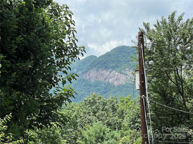 130 Sherwood Dr, Lake Lure, NC 28746 - view of mountain background