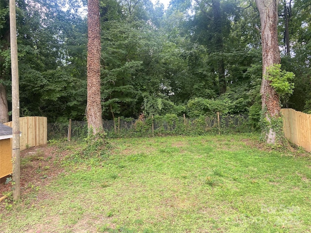 729 Elm St, Salisbury, NC 28144 - view of yard featuring a view of trees